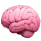 Behavior Insights